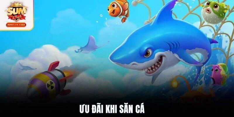 Ưu đãi khi săn cá